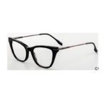 J110803-Retro Cat-eye Acetate Metal Optical Frames - Acetate Optical Frames - Wenzhou Dongtian Glasses Manufacturing Co., ...