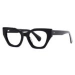J6108-Retro Cat-eye Acetate Optical Frames - Acetate Optical Frames - Wenzhou Dongtian Glasses Manufacturing Co., Ltd.
