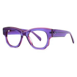 J6115-Retro Cat-eye Acetate Optical Frames - Acetate Optical Frames - Wenzhou Dongtian Glasses Manufacturing Co., Ltd.