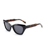 J853CX05-Retro Cat-eye Acetate Sunglasses - Acetate Sunglasses - Wenzhou Dongtian Glasses Manufacturing Co., Ltd.