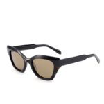 J853CX05-Retro Cat-eye Acetate Sunglasses - Acetate Sunglasses - Wenzhou Dongtian Glasses Manufacturing Co., Ltd.