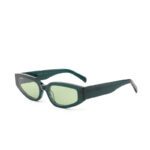 SONIC-A-Retro Rectangle Cat-eye Acetate Sunglasses - Sung...