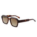 J853T05-Retro Square Acetate Sunglasses - Acetate Sunglasses - Wenzhou Dongtian Glasses Manufacturing Co., Ltd.