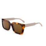 J853T11-Retro Square Acetate Sunglasses - Acetate Sunglasses - Wenzhou Dongtian Glasses Manufacturing Co., Ltd.