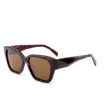 J853T29-Retro Square Cat-eye Acetate Sunglasses - Acetate Sunglasses - Wenzhou Dongtian Glasses Manufacturing Co., Ltd.