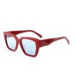 J853T29-Retro Square Cat-eye Acetate Sunglasses - Acetate Sunglasses - Wenzhou Dongtian Glasses Manufacturing Co., Ltd.