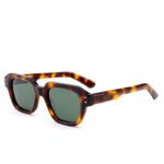 AMORE-Retro Square-Oval Acetate Sunglasses - Acetate Sunglasses - Wenzhou Dongtian Glasses Manufacturing Co., Ltd.