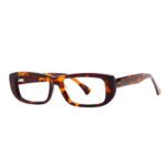 J6117-Retro Rectangle Acetate Optical Frames - Acetate Optical Frames - Wenzhou Dongtian Glasses Manufacturing Co., Ltd.