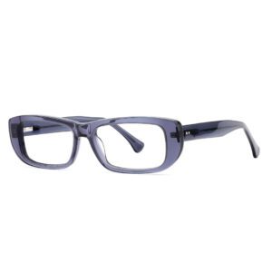 J6117-Retro Rectangle Acetate Optical Frames - Acetate Optical Frames - Wenzhou Dongtian Glasses Manufacturing Co., Ltd.