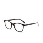 OLIVE-H-Vintage Oval Acetate Optical Frames - Acetate Optical Frames - Wenzhou Dongtian Glasses Manufacturing Co., Ltd.